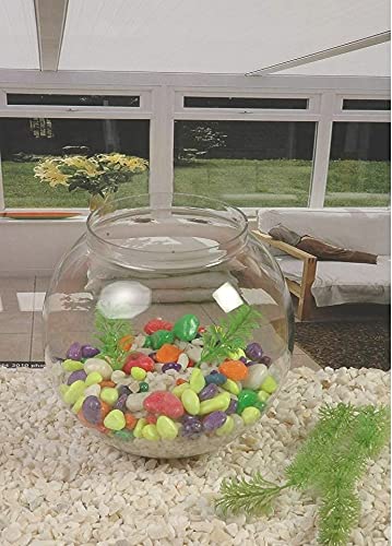 Lovely Pets Kingdom-Round Transparent Crystal Glass Zig Zag Neck Bowl Clear Sphere Vase Fish Tank Water Jar with Air Motor ,air Tube and airstone (Round, 10 inches - Suitable for 3-4 Pairs of Fishes)
