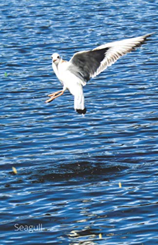 Seagull Notebook