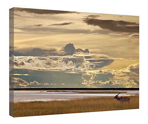Impression sur toile haut de gamme avec châssis bois véritable 40x50
