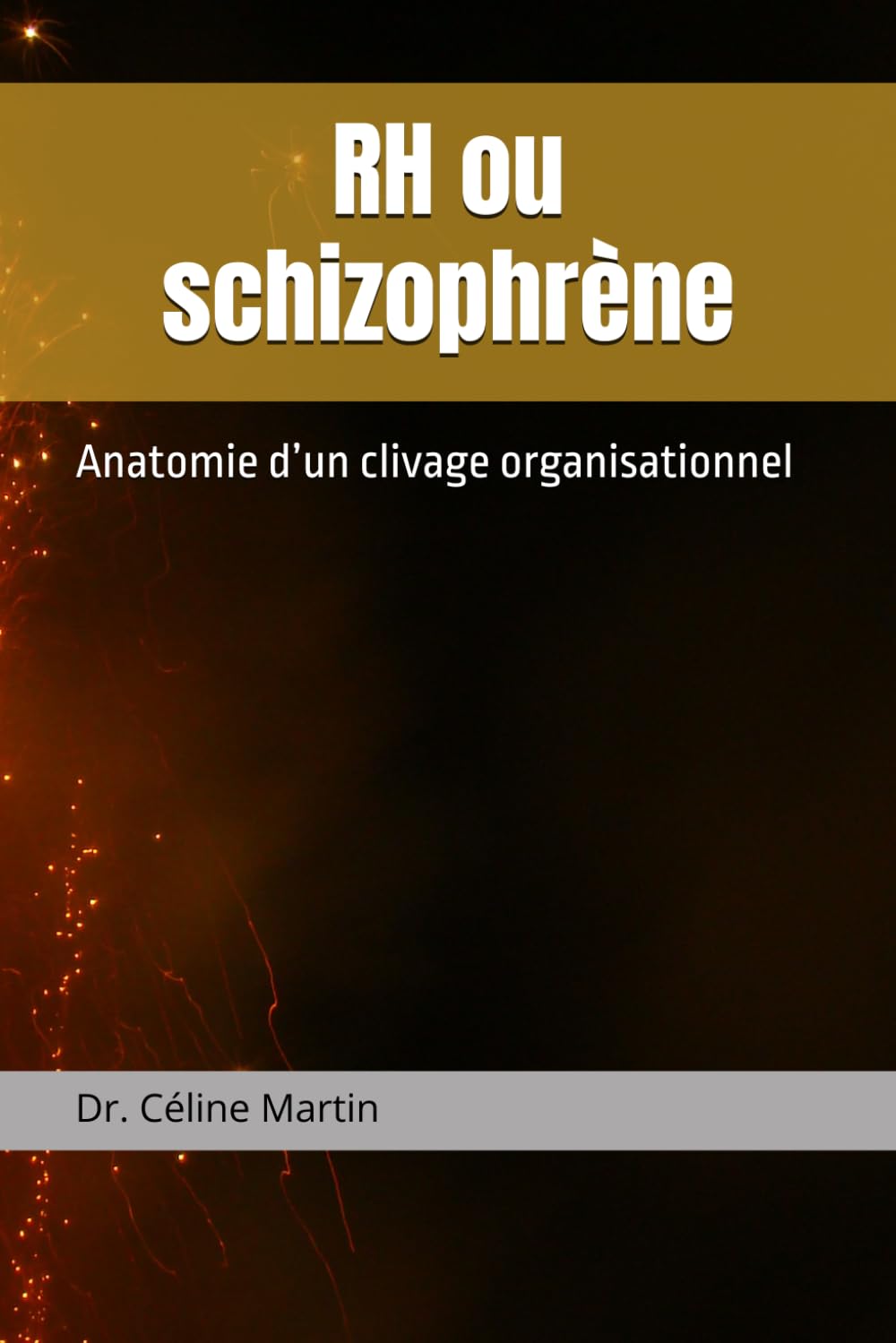 RH ou schizophrène: Anatomie d’un clivage organisationnel