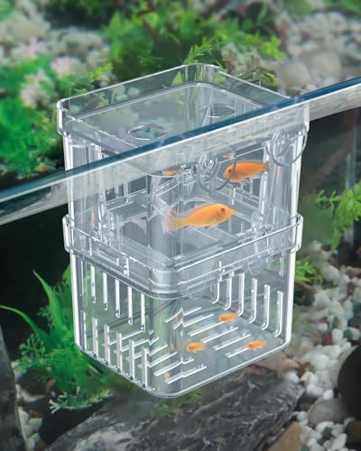 Pawfly Aquarium Boîte d'élevage de Poissons Boîte d'élevage en Plastique Transparent pour bac à Poissons Incubateur pour bébés Poissons Petite boîte...