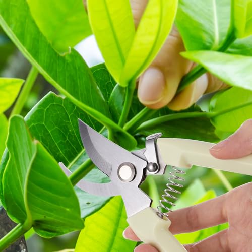 20 tijeras de podar florales para jardín 6.9 pulgadas miniatura 4
