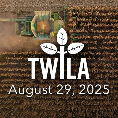 TWILA 8-29-25 - Fires, Harvest Challenges, and Farming Abroad cover art