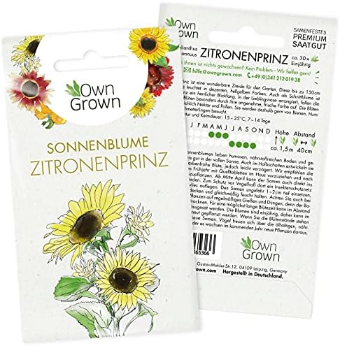 Sonnenblumen Samen Set Sonnenblumen Saatgut mit 6 Sorten Blumen