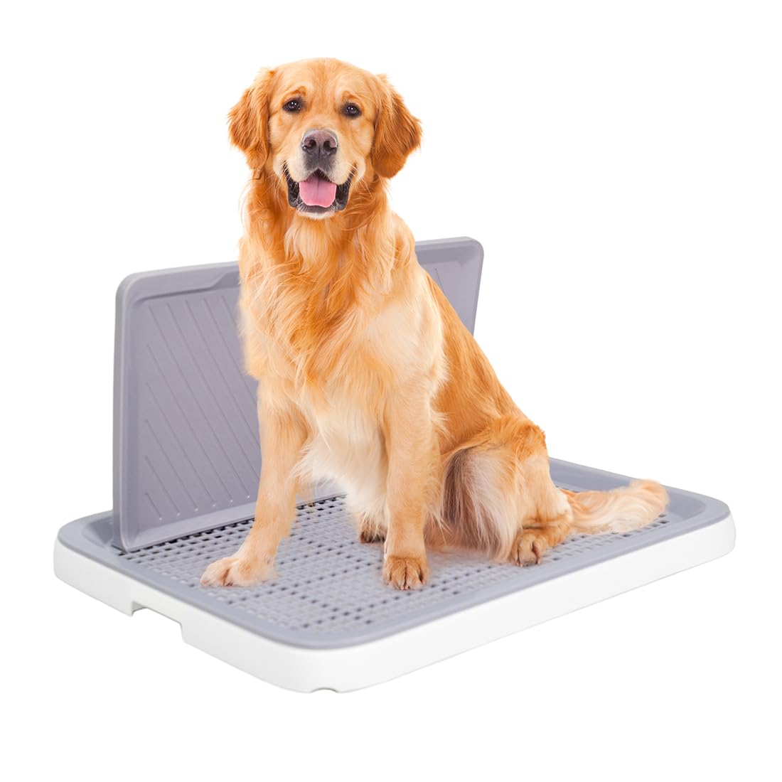 Inodoro para perros, apartamento, bandeja para perros, portátil, a prueba de salpicaduras, inodoro para perros pequeños (XL)