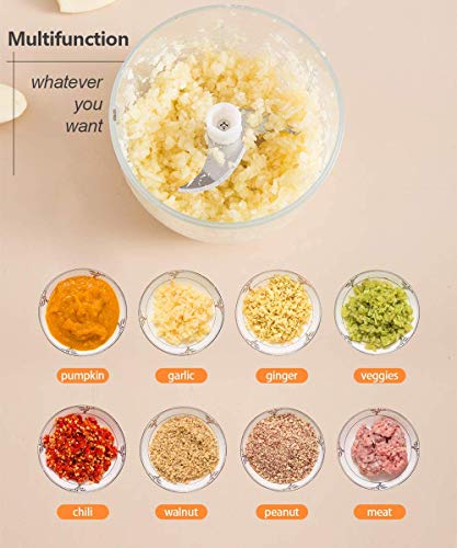 Dmofwhi Electric Garlic Chopper,Cordless Mini Chopper With Usb Rechargeable,304 Stainless Steel Blade,250Ml Portable Electric Mini Food Chopper For Garlic,Ginger,Onion,Meat-Blue #TOP6