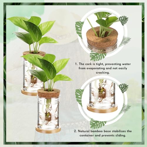 Baderke 12 Packs Plastic Desktop Vase With Hole Lid And Bamboo Stand Plant Propagation Stations Plant Growing In Water Hydroponic Home Office Table Decoration thumb #2