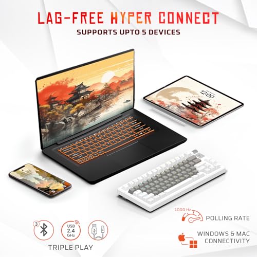 Image of EvoFox Ronin Mechanical Keyboards Wireless(BT+2.4GHz+Wired) | 9 Layer Gasket Structure, Outemu Red Switches, Per-Key RGB, 1000Hz, nKey Rollover, Volume Controller | Windows Software (White)