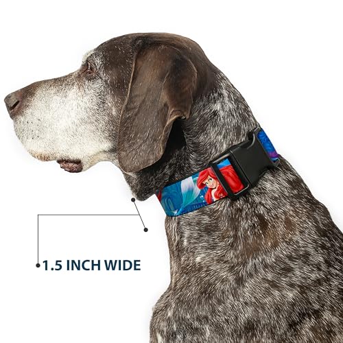 Collier Ariel Buckle Down résistant pour chien qui bouge - 8