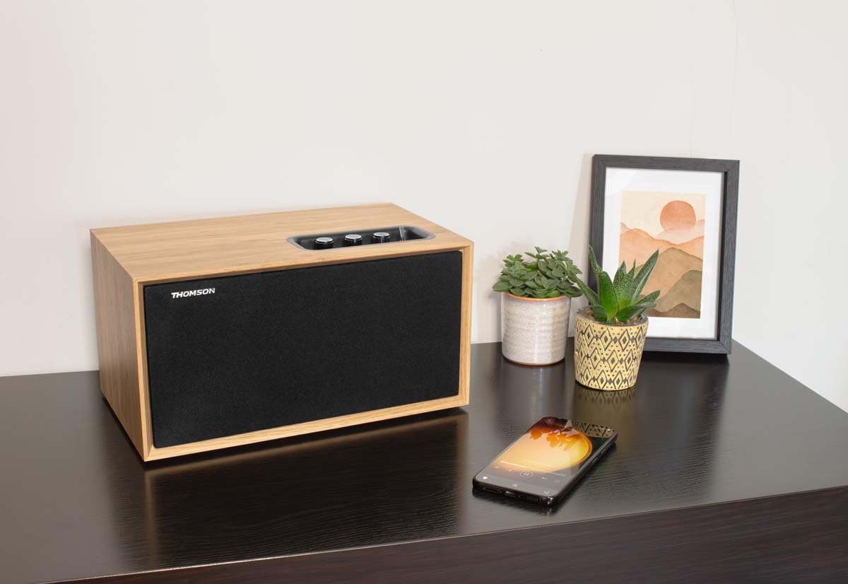 Enceinte résidentielle en bois - THOMSON - WS502 - Bluetooth 5.0, 100W, RCA, USB, AUX-IN