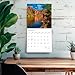 Arizona Wild & Scenic | 2026 12 x 24 Inch (Hanging) Monthly Square Wall Calendar | Plastic-Free | BrownTrout | USA United States of America Southwest State Nature
