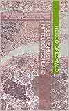 Vulkanismus in Mitteldeutschland: Band 2: Explosiver Vulkanismus im Bereich der Halle-Störung zwischen Halle (Saale) und Leipzig. Die Tiefbohrung Lochau 7/65