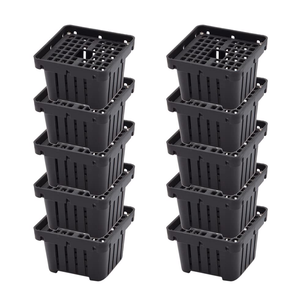 Amazon.co.jp: コウモリランバスケット ブラック Sサイズ ハンギング