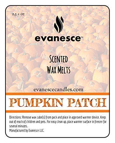 Evanesce - Pumpkin Patch - Fragrance Scented Wax Melts - 2 Packs of 6 Wax Tarts - Total of 12 cubes 5+ oz