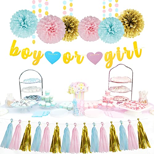 Image of Gender Reveal Decorations Blue Pink - 23pcs Tissue Paper Flowers Pom Poms Boy Or Girl Banner Tassel Garland Streamers Baby Party Supplies Gender Reveal Theme Gold Hanging Decor Ideas