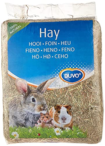 Duvo+ Fieno-Hay Dwarf Rabbits Guinea-Pigs And Chinchillas Food 2.5Kg