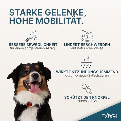 Grünlippmuschel Pulver für Hunde 100% natürlich und aus Deutschland