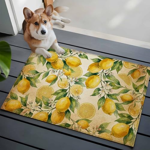 Tapete decorativo 2x3 pie lavable antideslizante miniatura 4