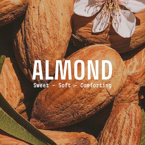 Image of Panier des Sens Sweet Almond Liquid Hand Soap, 16.9 fl oz