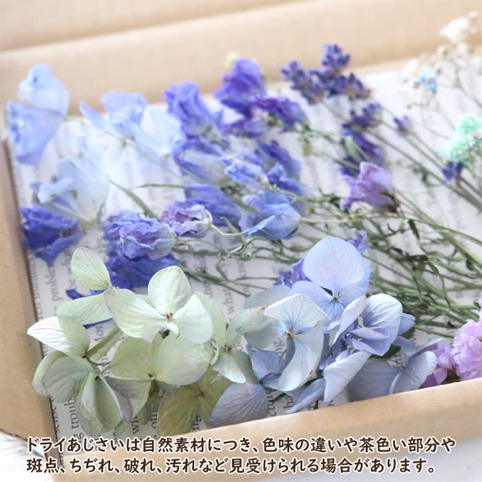 専用＊くすみカラーあじさい　ドライ＆プリザ　タペストリー Amazon | ドライフラワー 詰め合わせ 花材セット MIX （デルフィニウム