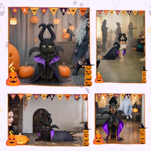 Disfraz de Bruja para Perro y Gato Halloween Talla Única miniatura 7