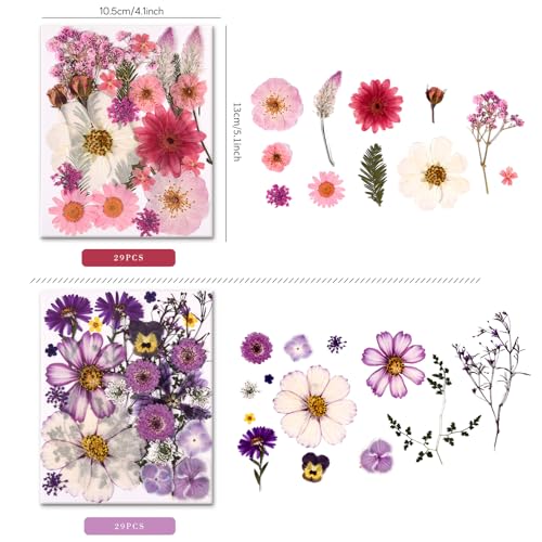 Image of 5 Packs of 140 Pressed Dried Flowers and Leaves for Resin | Assorted Real Natural Dry Flowers with Tweezers For DIY Crafts, Jewelry, Card Making, Soap,Candles, Nail Art, Scrapbooking