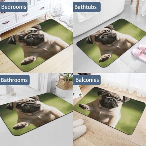 Tapis absorbant imprimé 60x40 cm antidérapant pour intérieur - 6