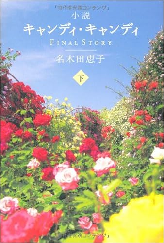 天然石ターコイズ ✽小説キャンディ・キャンディFINAL STORY 上下✽名