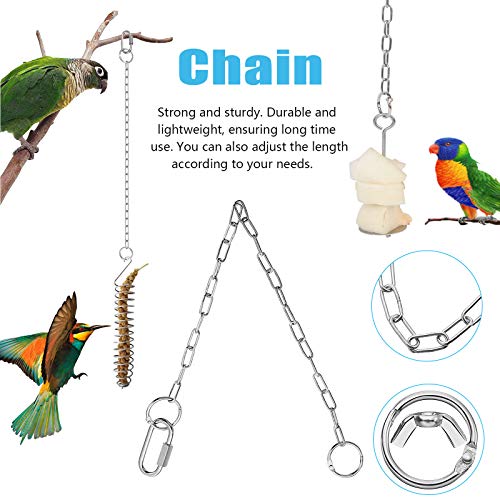 1 Pezzi Mangiatoia Spirale per Uccelli Spiedino