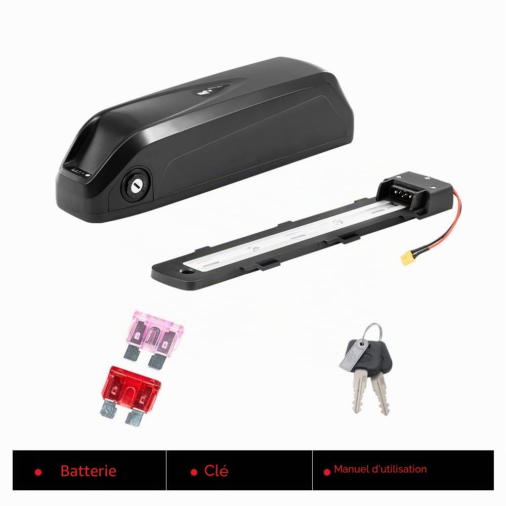 SEASON Ebike Batterie A2-48V 14Ah (673Wh) 35E cellules sans Chargeur - Batterie de Rechange Compatible avec Rad Power Bikes