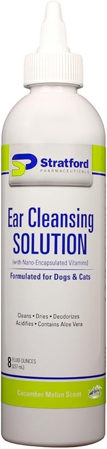 symptoms of bite dog