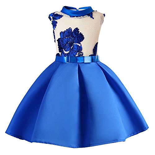TIFENNY Girl Sleeveless Hollow Princess Dress Embroidery Wedding Formal Dress (5T, Blue)