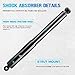 Rear Complete Struts Compatible with 10-17 GMC Terrain / 05-17 Chevy Equinox / 12-13 Captiva Sport / 06-09 Pontiac Torrent / 08-10 Saturn Vue, Shock Absorbers Assembly Replace for 345055, 2PCS