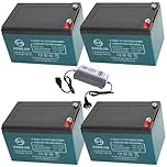 12V 12Ah Sealed Lead Acid Motorcycle Rechargeable Battery 6-DZM-12 for Powersports E Bike Electric Lawn Mower ATV Scooter Go Kart Golf Cart Maintenance-free with 48V 2.5A Batteies Accessory Set of 4