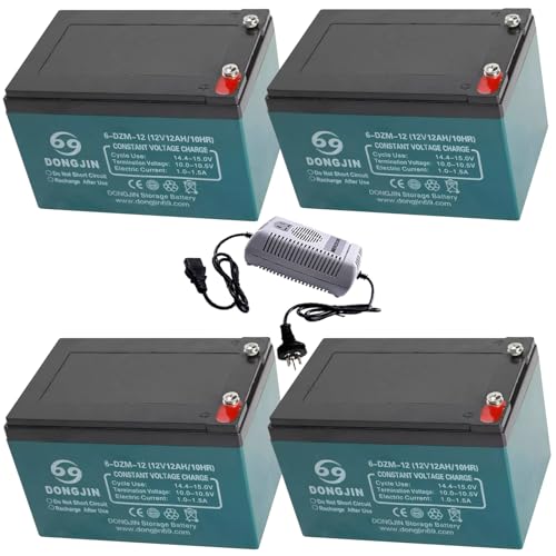 12V 12Ah Sealed Lead Acid Motorcycle Rechargeable Battery 6-DZM-12 for Powersports E Bike Electric Lawn Mower ATV Scooter Go Kart Golf Cart Maintenance-free with 48V 2.5A Batteies Accessory Set of 4