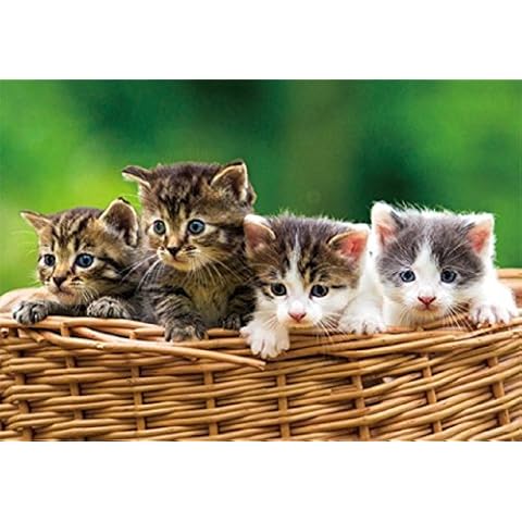 Set de table 3D Chats Cover