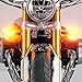 CCAUTOVIE Intermitentes Led Moto Universales Intermitentes Moto Homologados Luz Senal de Giro...