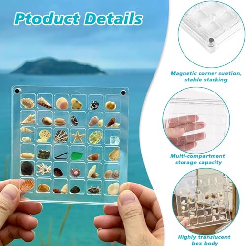 Image of Supvox Magnetic SeaShell Collection Box, 36 Grids Acrylic Display 12.5cm | Secure Closure, Clear Viewing, Separated Storage, Durable Acrylic Build, Easy Shelf Arrangement, Dust Protection