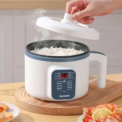 Smart Electric Double Layer Cooker