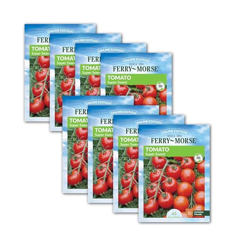 Image of Ferry-Morse Online Edition Tomato Supersweet 100 Hybrid Seeds - High Germination Rate, GMO Free - 8 Pack