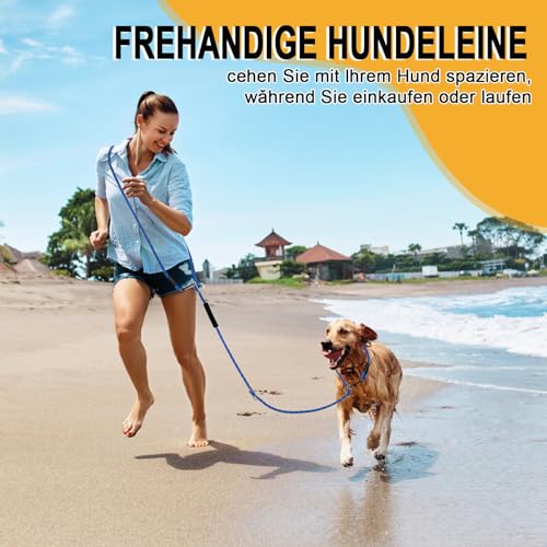 Hundeleine 3m Umhängeleine und Doppelleine, leicht für kleine bis große Hunde