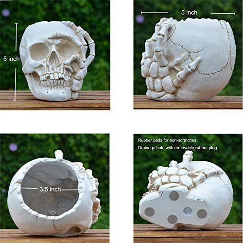 Skull Planter For Home Decor, Small Plant Pots Indoor, Mini Flower Pots For Indoor Plants, Plant Pot, Garden Succulent Planters, Gardening Pots With Drainage For Halloween Decorations(Black Gold Vase) #TOP6
