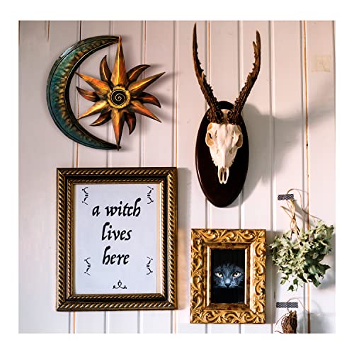 Metal Moon Wall Decor 12" - Flat Sun Decoration For Wall - Sun And Moon Wall Decor - Sun Wall Art - Sun Garden Decor - Sun Wall Decor - Outdoor Sun Wall Art - Metal Sun Wall Decor Outdoor - Sun Art #TOP3