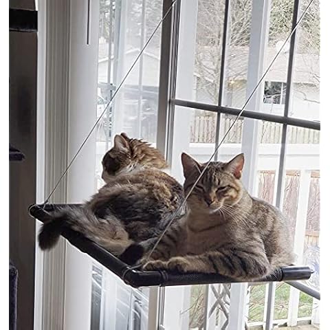 Dracarys Katzen hängematte Fenster | für große Katzen bis 25 kg | Verstärkte Katzenhängematte mit starkem Saugnapf | Sonnenbad Katzenbett Haustierbett,Geeignet für Fensterlänge ≥74cm und Höhe ≥64 cm Cover
