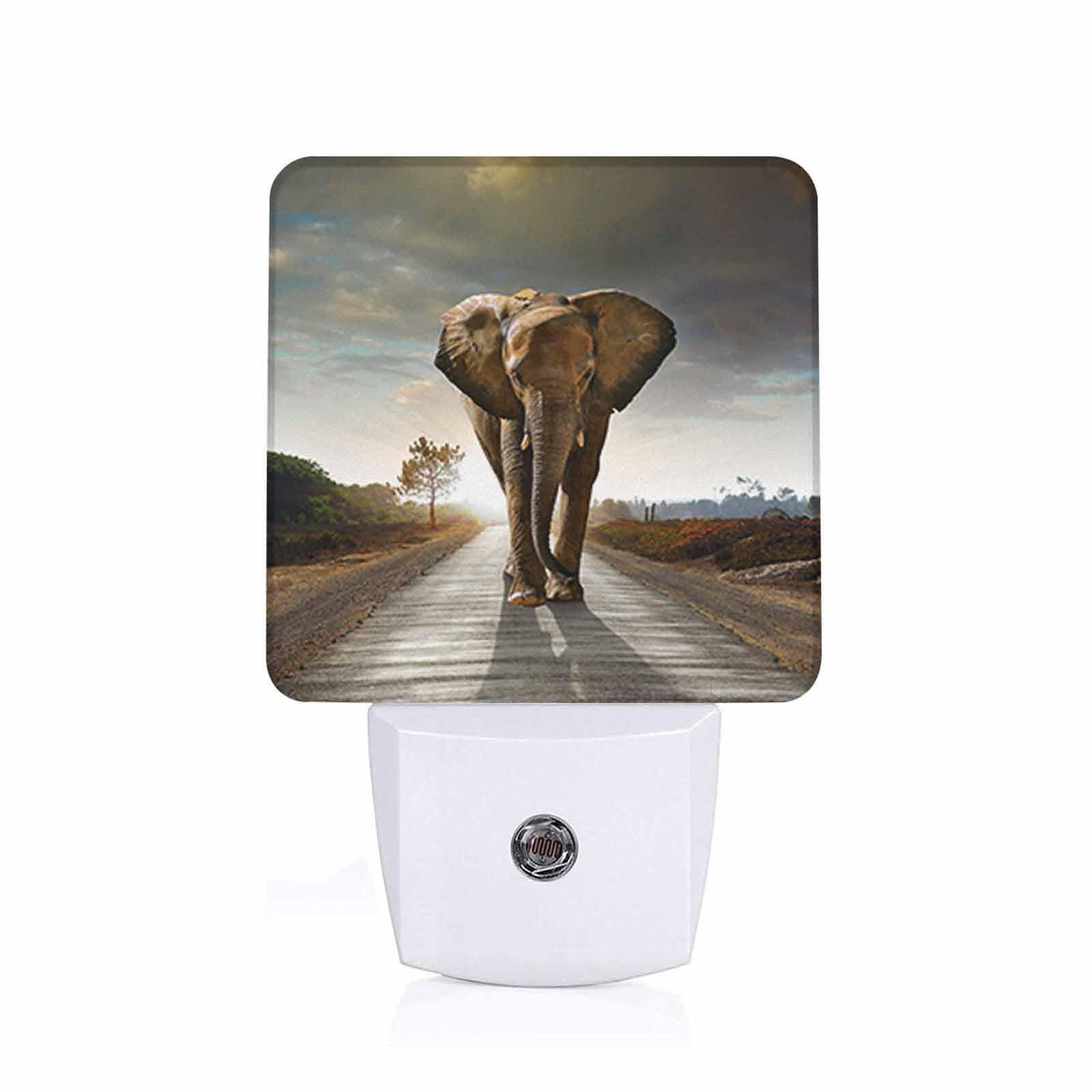 Chrobak LED Night Light,Single Elephant Walking in Wild Road LED Night Light Plug into Wall with Dusk to Dawn Light Sensor White Energy Efficient Nightlight for Bedroom Hallway Living Room Kitchen