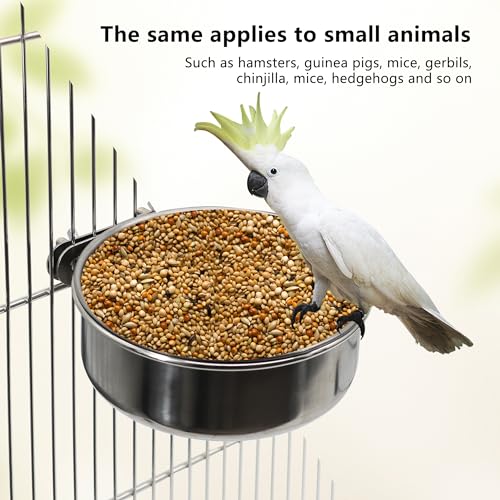 Dvhey STEELCUP 2 Pcs Small Bird Feeding Dish Cups,Parrot Food Bowl Cage With Clamp Holder Stainless Steel,Birdcage Coop Water Feeder thumb #2