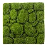 BOIU Grass Mat- Stone Shape Indoor Green Artificial Lawns Turf Carpets Fake Sod Moss for Home Hotel...