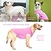 Sychien Dog Pink White Shirts,Soft Blank Cotton Tee-Shirt for Boy Girl Dogs,Plain XSmall Cat Clothes,XS Pink White