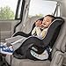 Evenflo Tribute LX Convertible Car Seat (Saturn Gray)