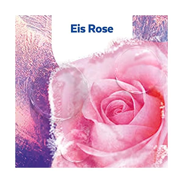 Sagrotan No-Touch Nachfüller Eis Rose Limited Edition – Für den automatischen Seifenspender – 5 x 250 ml Handseife – Bild 5